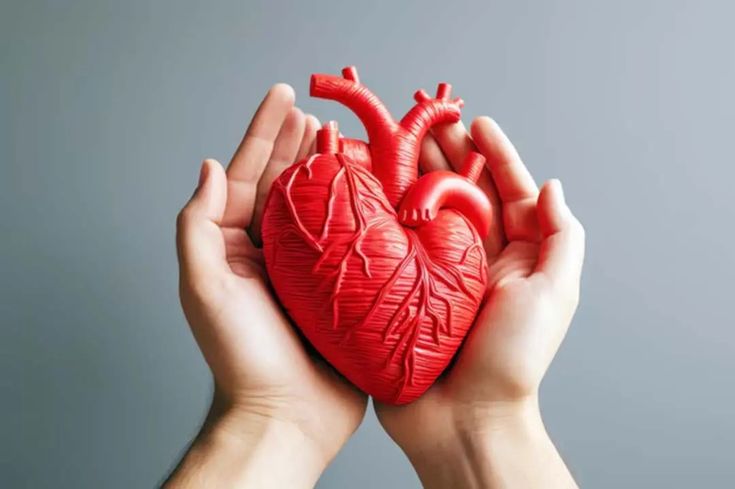 Como Melhorar a Saúde do Coração com Pequenas Mudanças