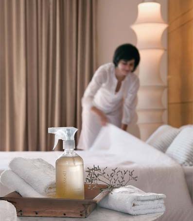 Como o Cheiro do Seu Ambiente Afeta Suas Emoções Sem Você Perceber