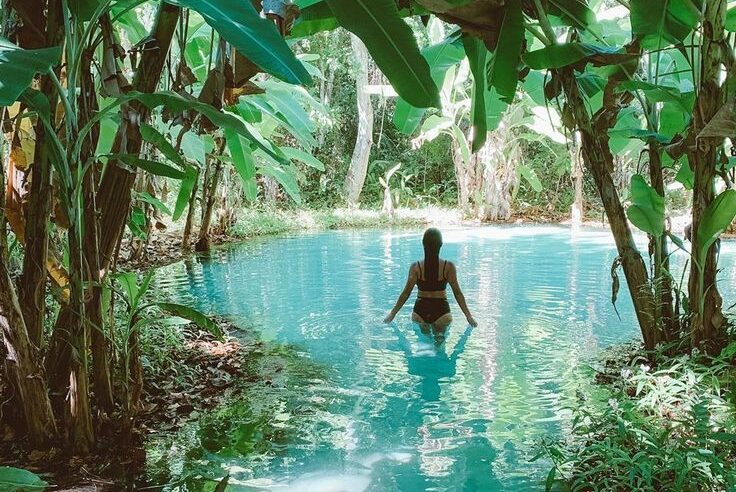 Como o Contato com a Natureza Regula o Humor e Reduz o Estresse