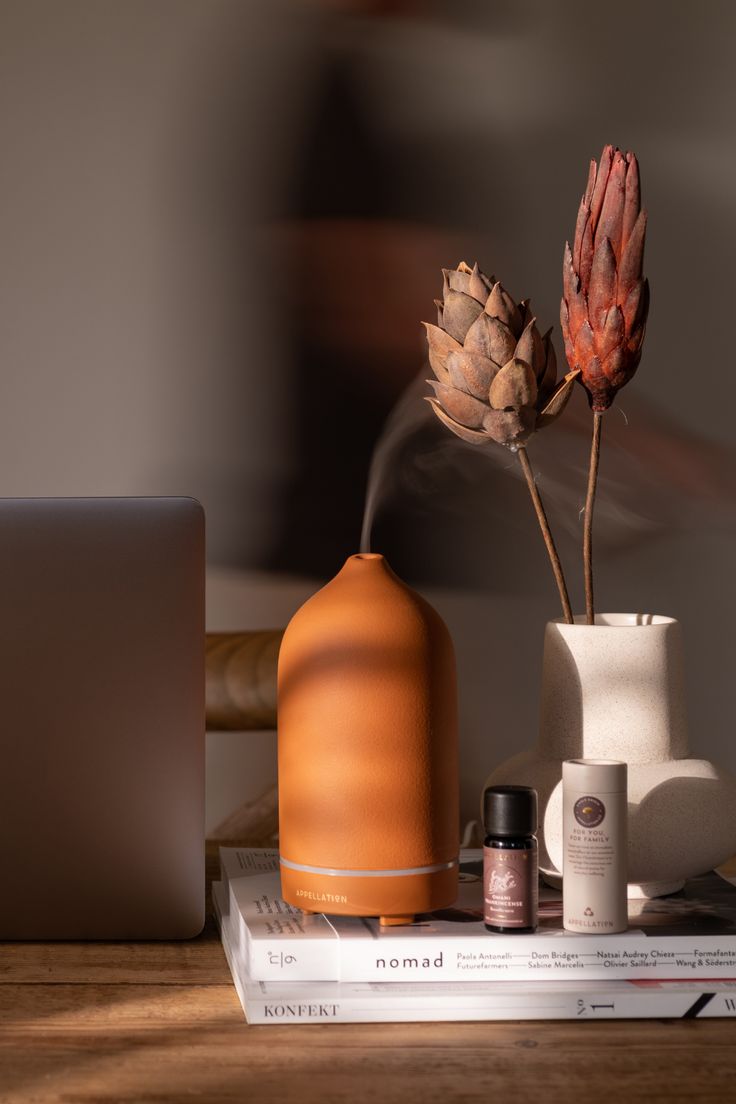 Difusores de Aromas e Óleos Essenciais Que Equilibram Emoções