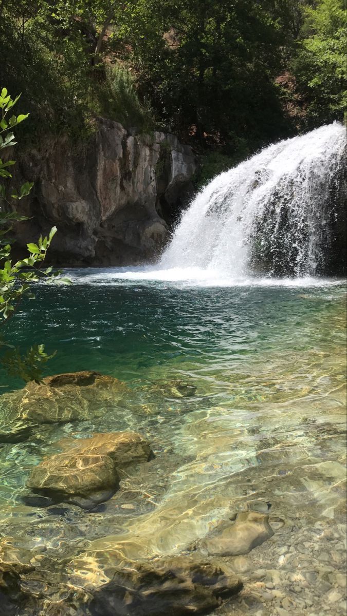 O Impacto da Natureza na Mente: Como o Verde Cura Sem Fazer Esforço