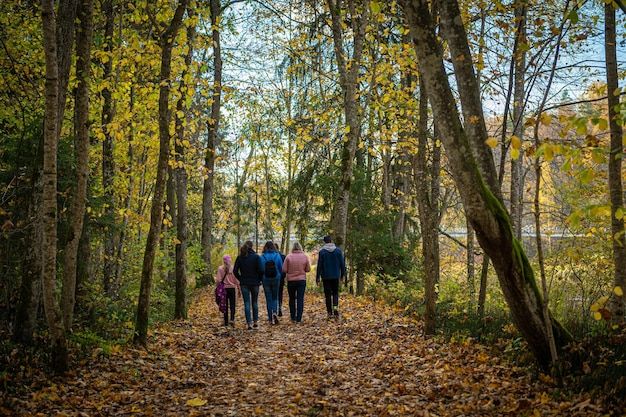 Caminhadas em Grupo: Por Que Trazem Mais Resultados que Sozinho