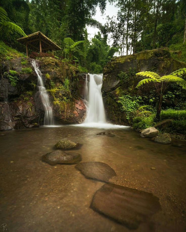 Como o Som da Natureza Reduz o Estresse e Melhora a Concentração