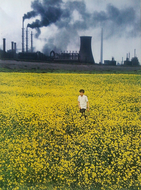 Por Que Sua Energia Cai ao Conviver com Ambientes Poluídos Visualmente