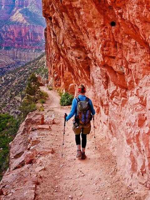 A Importância da Lenta Construção de Hábitos Saudáveis