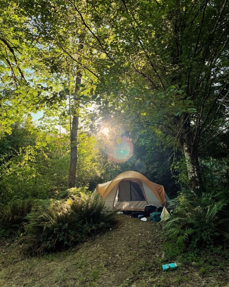 A Arte de Viver Devagar: Por Que o “Slow Living” É o Novo Caminho da Saúde Mental